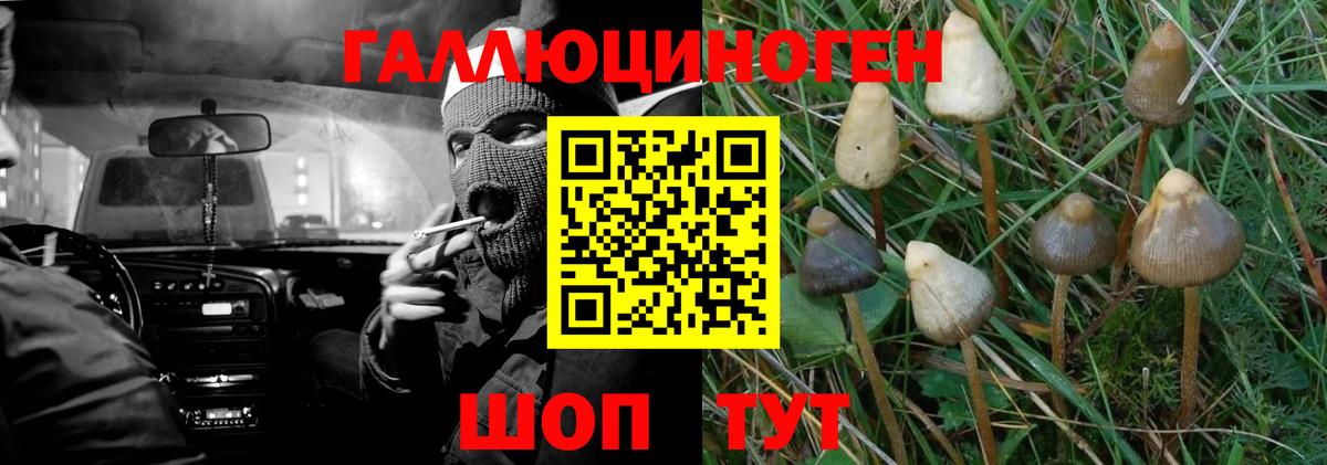 Галлюциногенные грибы ЛСД  Псилоцибиновые грибы прущие грибы  Вход с VPN  Вичуга 